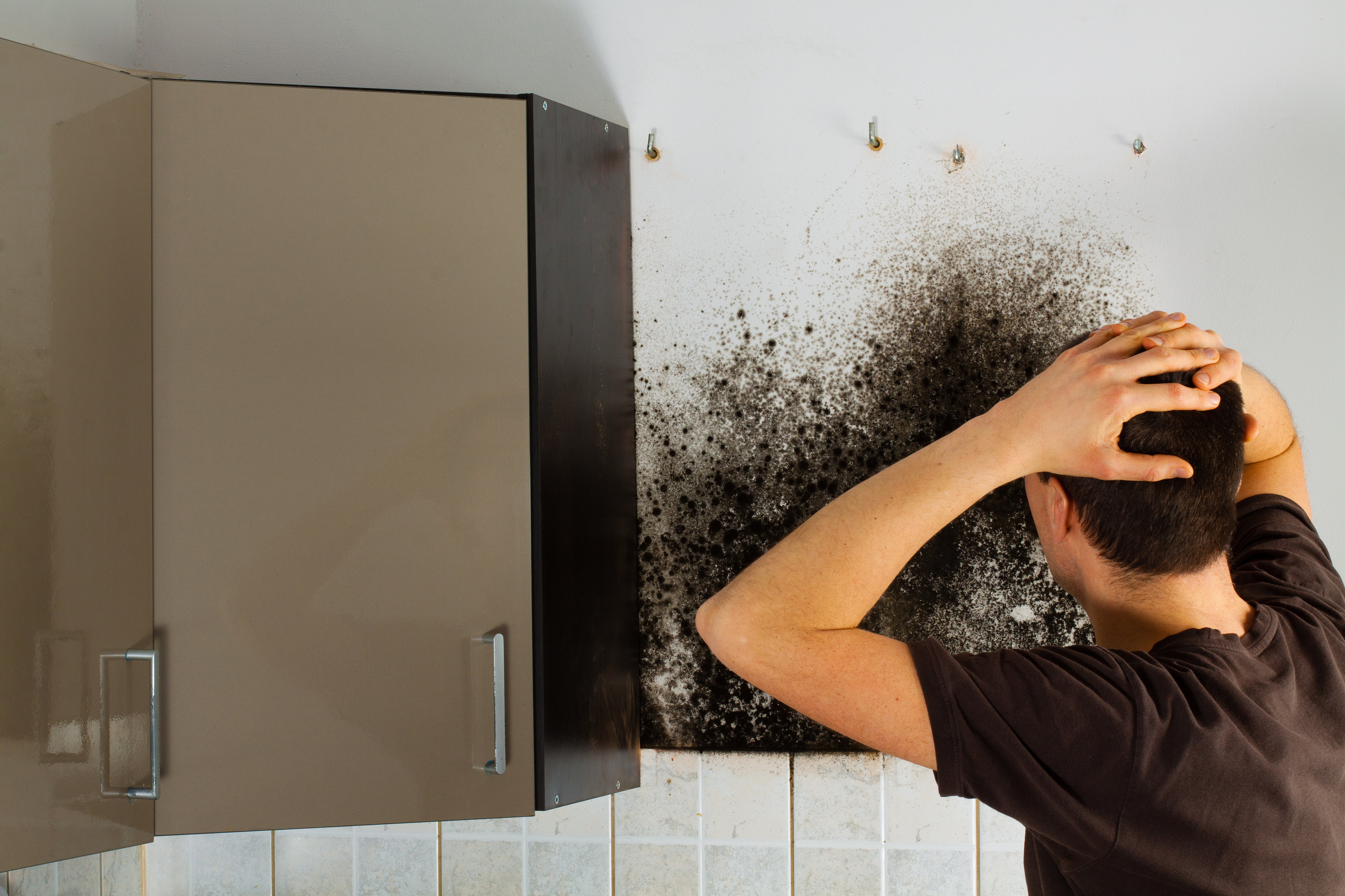 Tips For Tackling Damp & Mould