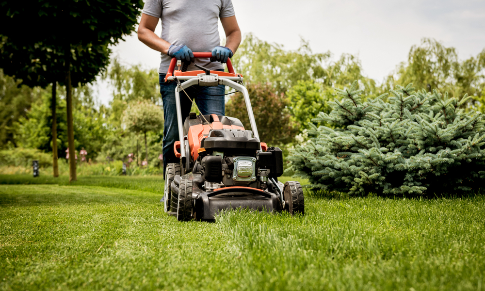 Our Grounds Maintenance Service: FAQs